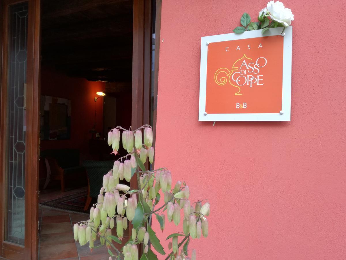 Casa Asso Di Coppe B&B Alba  Exteriör bild
